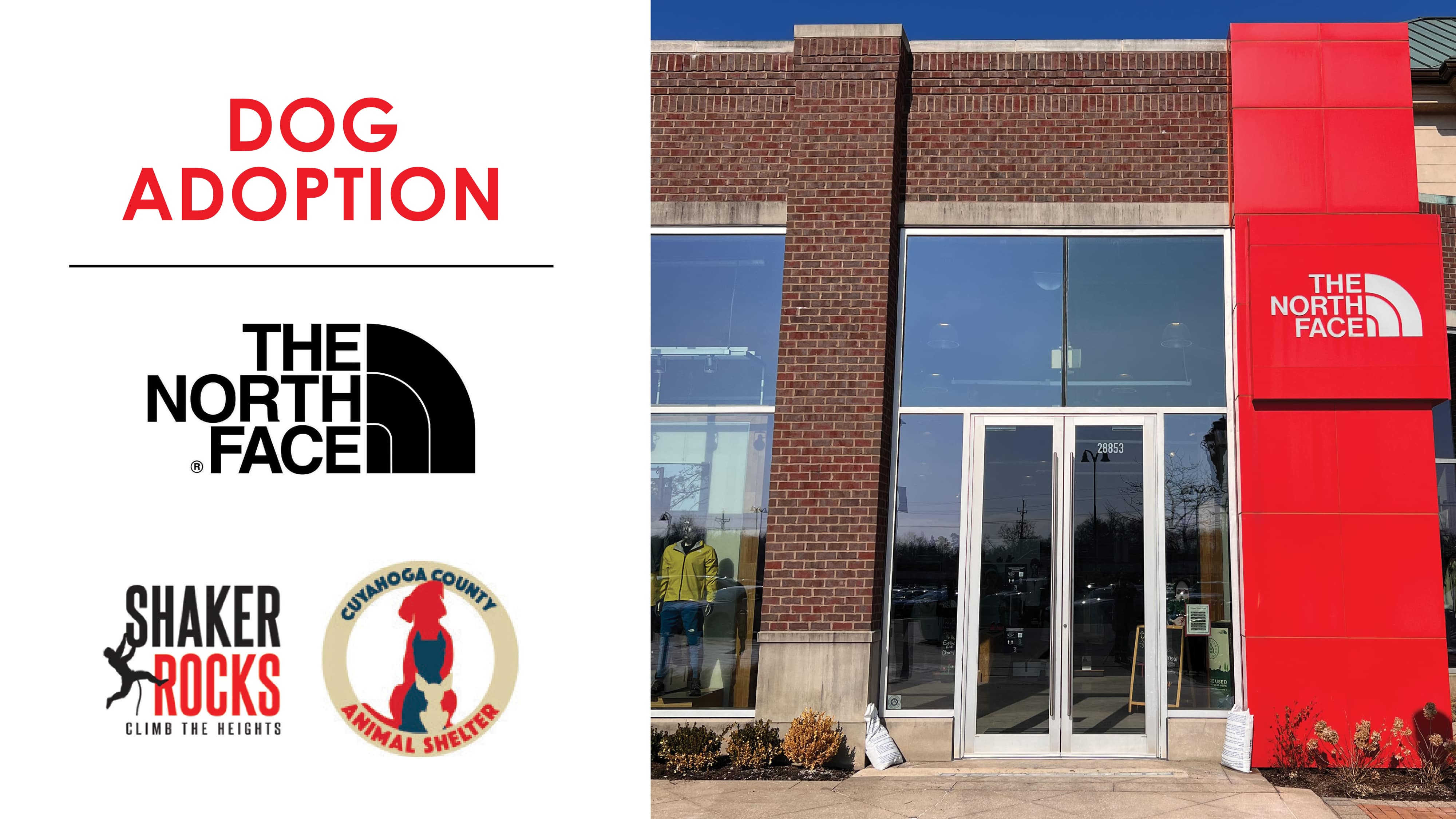 The North Face Dog Adoption